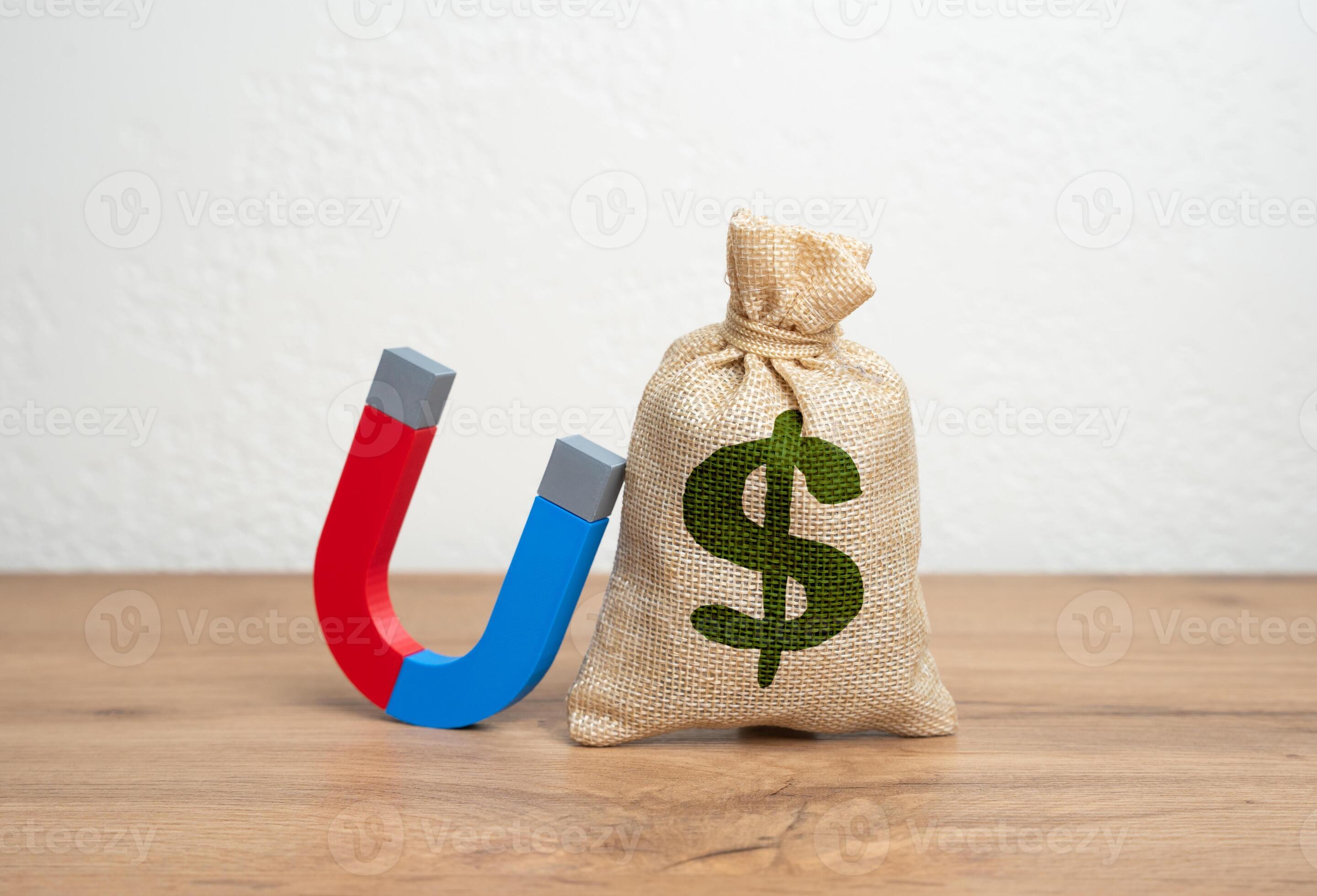 Fundraising and Investment Attraction