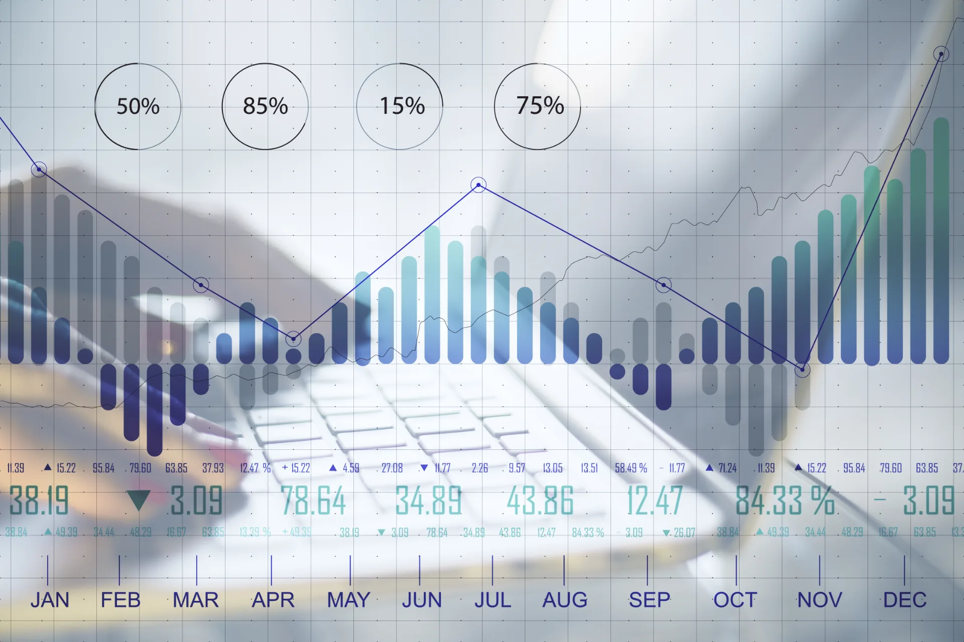 Financial Analysis and Business Valuation Price