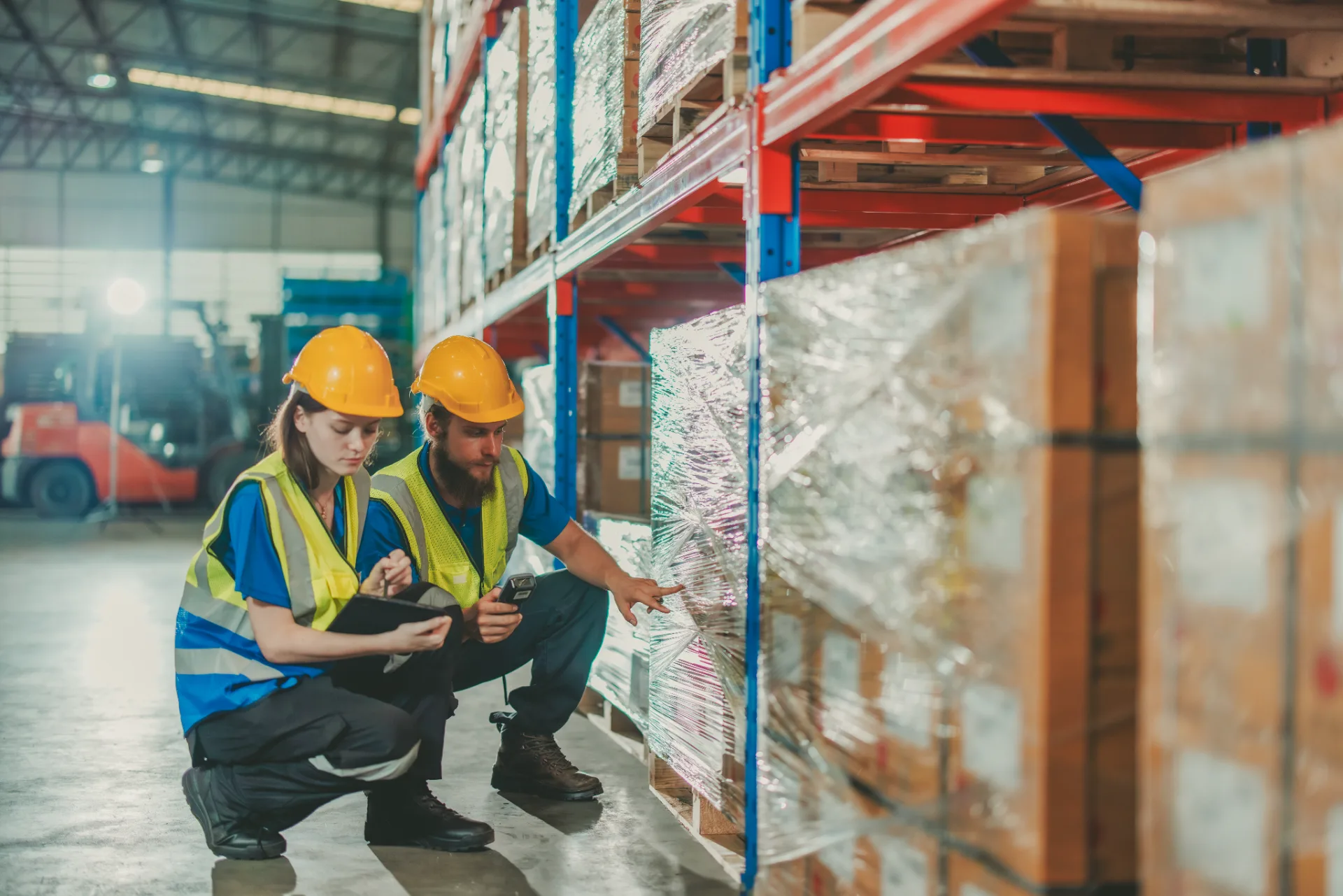 Warehouse Management and Supply Chain Management